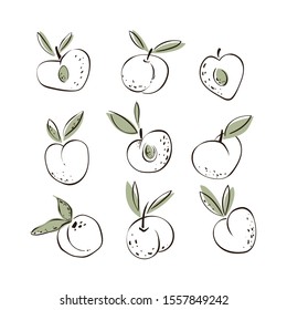 Vector set of hand drawn peaches. Vegetarian and vegan food in isolated modern design.