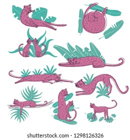 Vector set of hand drawn pink leopards and green tropical leaves. Large cats with spotted bodies. Wild animals