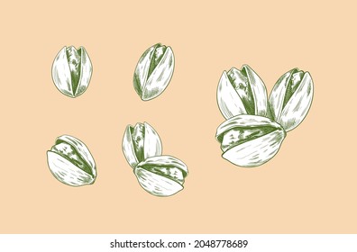 Vector Set of Hand Drawn Pistachios, Nuts Sketch, Groups on Nuts and Single Objects, Natural Product, Sketchy Drawing Style.