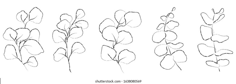 Vector set of hand drawn plants. Botanical sketched floral elements