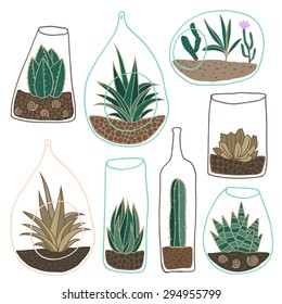 Vector set of hand drawn plants in glass terrariums. Cactus and succulent, ground and shell. Good for interior surface design, t-shirt print, wallpaper, greeting card, wedding invitation