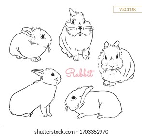 Vector set of hand drawn rabbits. Bunny pet line in different poses. 