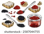 Vector set of hand drawn red and black caviar on spoon, in tartlet, on bread and jar. Engraved seafood delicacy. Outline vintage watercolor illustration. Isolated background.