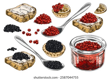 Vector set of hand drawn red and black caviar on spoon, in tartlet, on bread and jar. Engraved seafood delicacy. Outline vintage watercolor illustration. Isolated background.