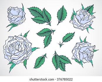 Vector set of hand drawn roses and leaves. In blue and green colors.