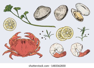 Vector set with hand drawn seafood illustration.