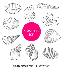 Clam Shells Images, Stock Photos & Vectors | Shutterstock