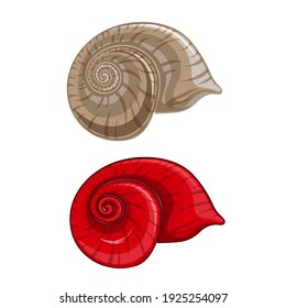 Vector set with hand drawn seashells carapace isolated on white background. 