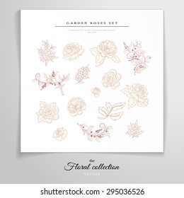 Vector set. Hand drawn simple silhouettes of garden roses, branches with berries and leaves.  