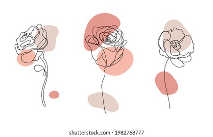 Vector set of hand drawn, single continuous line flowers - roses , leaves sketch. Art floral elements. Use for t-shirt prints, logos, cosmetics