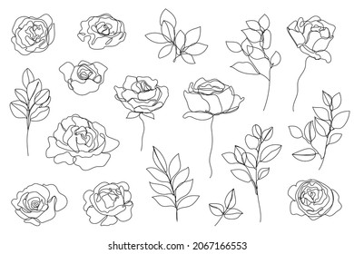 Vector set of hand drawn, single continuous line flowers, leaves. Art floral elements. Use for t-shirt prints, logos, cosmetics and beauty design elements