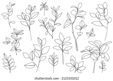 Vector set of hand drawn, single continuous line plants, leaves. Art floral elements. Use for t-shirt prints, logos, cosmetics and beauty design elements