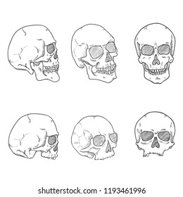 Vector Set of Hand Drawn Sketch Human Skull. Headbones Collection.