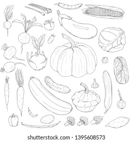 Vector Set of Hand Drawn Sketch Vegetables