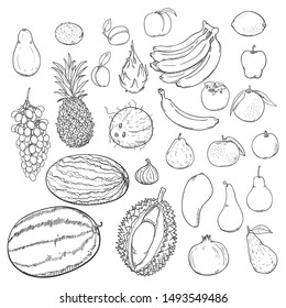 Vector Set of Hand Drawn Sketch Fruits
