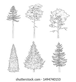 48,579 Pencil Drawing Of A Tree Images, Stock Photos & Vectors ...