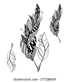 vector set of hand drawn sketch black feathers on a white background