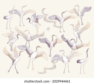 Vector set of hand drawn sketches in Japanese and Chinese nature ink illustration tradition. Dancing crane birds on a beige background