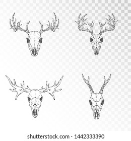 Vector set of hand drawn skulls of horned animals: deer, stag and moose o transparent background. Black linear shape. For you design, print, tattoo or magic craft.