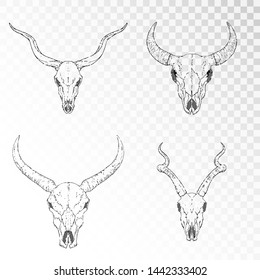 Vector set of hand drawn skulls of horned animals: antelopes, bull and wild buffalo on transparent background. Black linear shape. For you design, print, tattoo or magic craft.