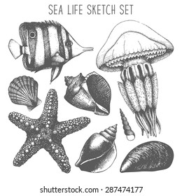 Vector set with hand drawn small fish, sea star, jellyfish and sea shell sketch isolated on white. Vintage sea life illustration collection with engraving elements 