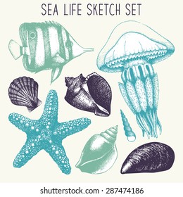 Vector set with hand drawn small fish, sea star, jellyfish and sea shell sketch. Vintage sea life illustration collection with engraving elements 