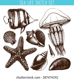 Vector set with hand drawn small fish, sea star, jellyfish and sea shell sketch isolated on white. Vintage sea life illustration collection with engraving elements 