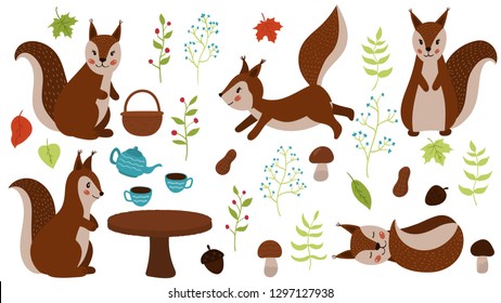 Vector set of hand drawn squirrels. Cartoon maple leaves, teapot, cups, plants, mushrooms, nuts and acorns. Woodland animals. For the nursery.