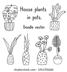 Vector diseñado a mano con plantas de la casa en macetas. Ilustración contemporánea para diferentes propósitos.