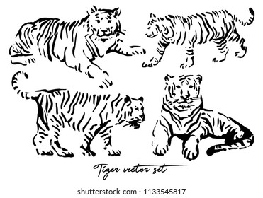 Vector set of hand drawn tigers on white background isolated