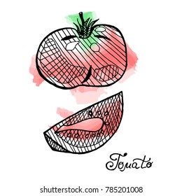 Vector set of hand drawn tomato with slices on watercolor background. Juice design template.