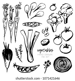 Vector set of hand drawn Vegetables. Healthy food black and white illustration. 