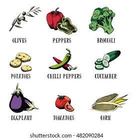 Vector set of hand drawn vegetables on white background