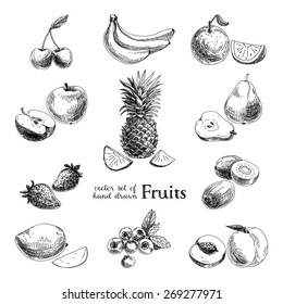 Vector set of hand drawn vintage  fruits and berries. Retro illustration.