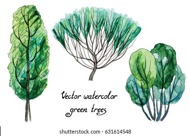 Vector set of hand drawn watercolor pictorial green trees, isolated on the white background for your landscape design