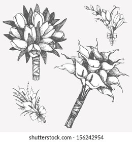 Vector set of  hand drawn wedding bouquets and buttonholes with tulips and calla flowers isolated on white