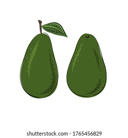 Vector conjunto de aguacate dibujado a mano entero. Ilustración vectorial de alimentos. Diseño para embalajes, bodas, tejidos, tejidos, papel pintado, sitio web, postales.