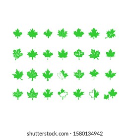 Vector set of hand drawn wine grape leaves varieties illustrations vector eps10