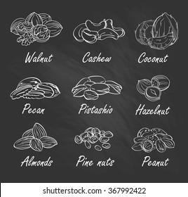 Vector set of hand sketched nuts on chalkboard in hand drawn style: hazelnut, almonds, peanuts, walnut, cashew, pine nut, pistachios, coconut, pecan