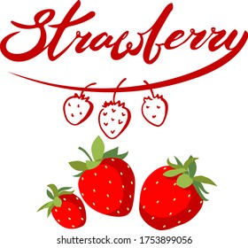Vector set of hand written lettering of word strawberry and some berries : hand drawn linear simple sketch style and flat graphic. Isolated on white elements for summer food desiggn cards, posters.