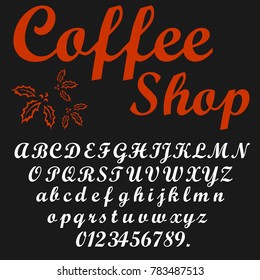 Vector set of handcrafted ABC letters hand drawn fonts handwritten alphabets