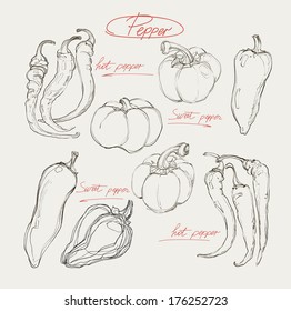 vector set of hand-drawing peppers