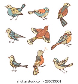 Vector set of hand-drawn birds. Ornate birds isolated on white background.