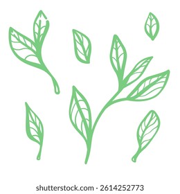Vector set with hand-drawn branches and tea leaves. Black and white linear illustrations for tea designs, including green, black, and oolong teas. Perfect for packaging and decor.
