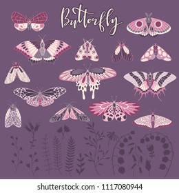 Vector set of hand-drawn butterflies, lettering and plants.Collection of elements for design