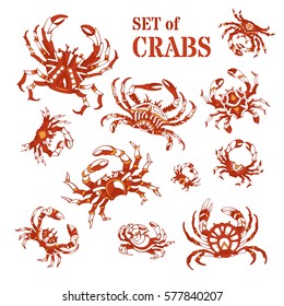 Vector set of hand-drawn crabs. Ornate red and white icons and symbols isolated on white background.