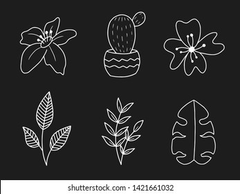 Vector set of handdrawn doodle flowers and leaves. Handdrawn elements, flowers, leaves.