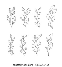 Vector set of handdrawn doodle frames and borders. Handdrawn elements, flowers, branches, swashes and flourishes. 