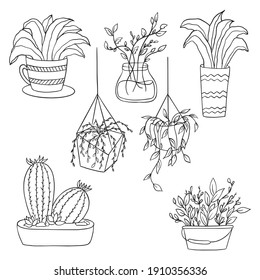 Vector set of handdrawn doodle frames and borders. Handdrawn elements, flowers, branches, swashes and flourishes.