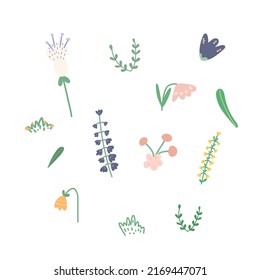 Conjunto vectorial de flores dibujadas a mano. Ilustraciones para el diseño de postales, tarjetas de visita, web.

